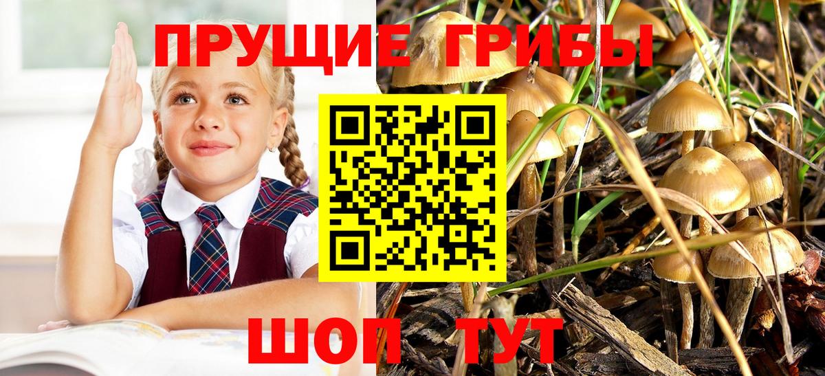 Галлюциногенные грибы MAGIC MUSHROOMS  Псилоцибиновые грибы мухоморы  Нижний Тагил  Вход с VPN 